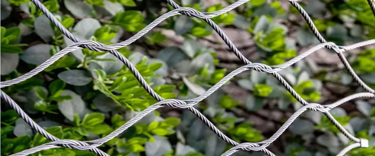 Cina terbaik Aviary Wire Netting penjualan