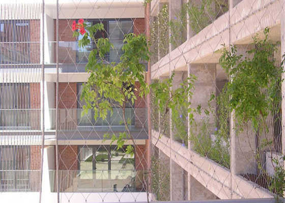 Plant Climbing Green Wall Stainless Steel Cable Mesh 3.2mm