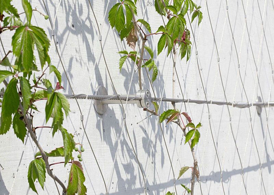 SS 316 Jaring kawat aviary untuk burung - Pagar kebun binatang baja tahan karat