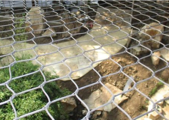 Daya Tahan Tinggi SUS316 Kebun Binatang Tertutup Wire Mesh Animal Wire Mesh