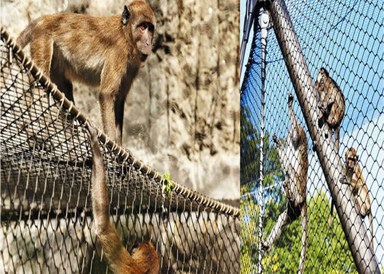 1.5mm Diameter Kawat Stainless Steel Burung Kelambu Twill Menenun Kemasan Kotak Karton