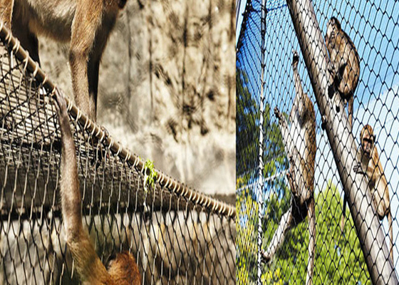 Baja tahan karat Zoo Enclosure Aviary Wire Netting 1m Roll Lebar Anti karat