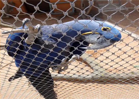 Bisa disesuaikan AISI 316 304 Stainless Steel Aviary Mesh Untuk habitat burung