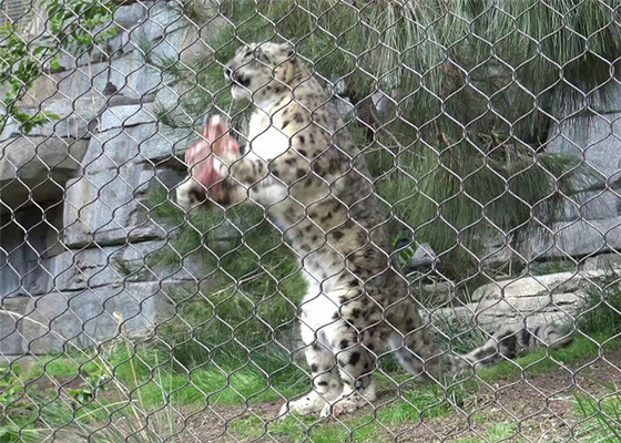 SS 304 Wire Rope Mesh Untuk Lion Enclosure Mesh