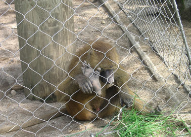 Tangki Zoologis Tarik Tinggi Tarik Mesh Tali Rangka 3,0mm