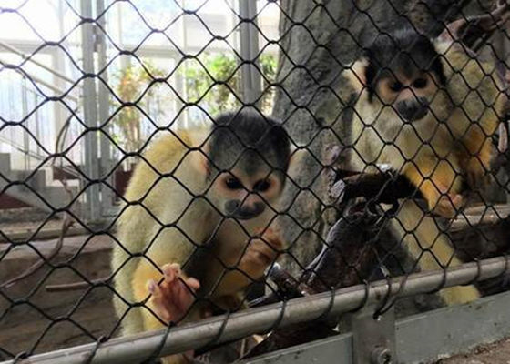 Black Oxide Fleksibel SS Aviary Rope Mesh Notting Diamond Woven Type