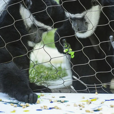 Tali Wire Mesh 3Mm untuk Kandang Pelindung Kebun Binatang Pagar Keamanan Taman Luar Ruangan