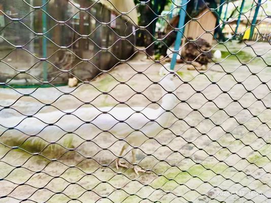 Tali Kebun Binatang Pagar Jaring Baja Ringan Burung Aviary Jaring