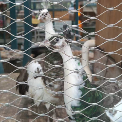 Jaring Kawat Aviary Fleksibel Kawat Tali Kabel Mesh Untuk Zoo kandang