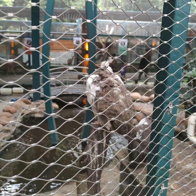 SS304 SS316 Stainless Steel Wire Rope Mesh Kebun Binatang Keamanan Kabel Mesh