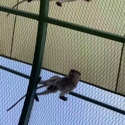Rantai Tali Woven Wire Mesh dari Baja Berkualitas