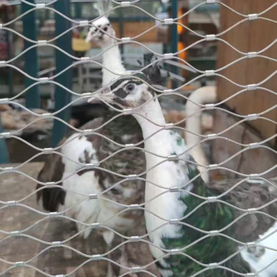 316 Stainless Steel Flexible Cable Mesh Netting untuk Aviary Burung