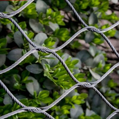 Rangkaian kabel baja tahan karat fleksibel yang dirancang untuk keamanan dalam proyek arsitektur