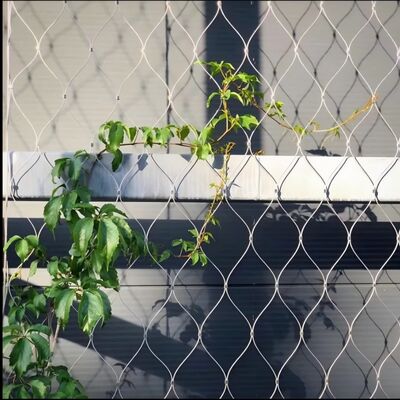 Jenis Ferrule Jaring Tali Baja Tahan Karat Untuk Tanaman Hijau Merambat