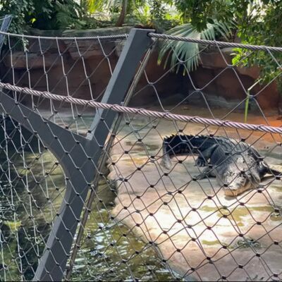 Ferrule Kawat Baja Tahan Karat Fleksibel X Tend Cable Mesh Net untuk Jaring Kandang Burung Kebun Binatang