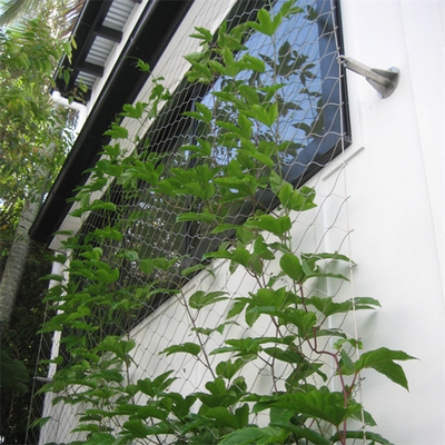 Eco Green Wall 1.2mm Stainless Steel Wire Rope Mesh Untuk Fasad Hijau