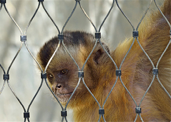 Kekuatan Tinggi 1.5mm Wire Rope Mesh Untuk Kandang Burung Kebun Binatang Aviary