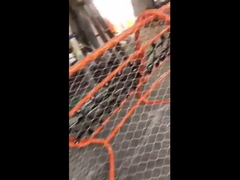 pagar kawat tali jaring