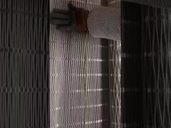 Jaring kawat kebun binatang 2