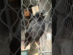 Jaring Tali Simpul Baja Tahan Karat Kuat Logam Fleksibel Tipe Ferrule Lunak Tahan Lama