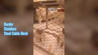 Jaring Kabel Stainless Steel Perbatasan