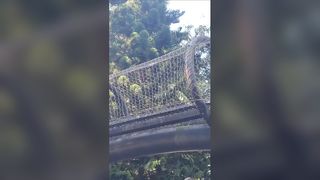 Pelindung Jatuh Pagar Taman Jaring Tali Stainless Steel