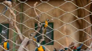 Seperti apa bentuk jaring kabel kawat baja tahan karat